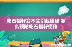 吃石榴籽会不会引起便秘 怎么预防吃石榴籽便秘