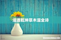泪洒乾坤草木湿全诗