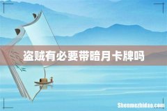 盗贼有必要带暗月卡牌吗