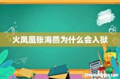 火凤凰张海燕为什么会入狱