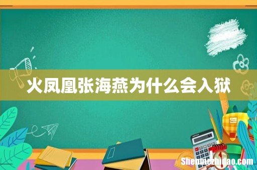 火凤凰张海燕为什么会入狱