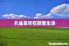 孔雀喜欢在那里生活