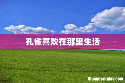 孔雀喜欢在那里生活
