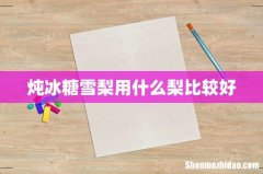 炖冰糖雪梨用什么梨比较好