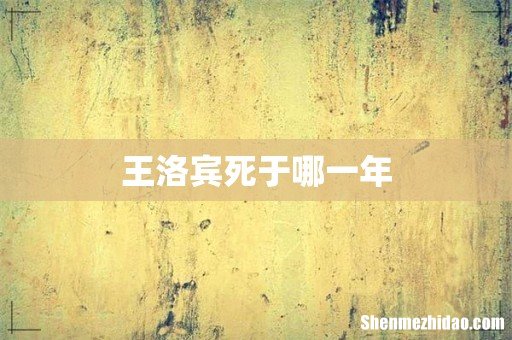 王洛宾死于哪一年