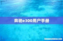 奔驰e300用户手册