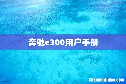 奔驰e300用户手册