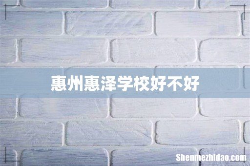惠州惠泽学校好不好