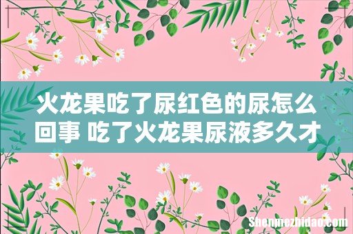 火龙果吃了尿红色的尿怎么回事 吃了火龙果尿液多久才不会是红色