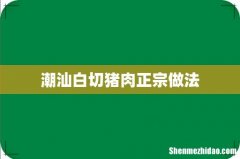 潮汕白切猪肉正宗做法