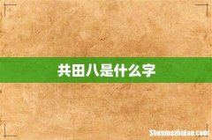 共田八是什么字