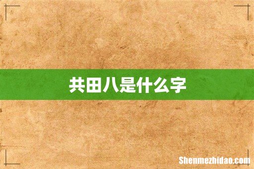 共田八是什么字