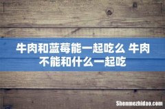 牛肉和蓝莓能一起吃么 牛肉不能和什么一起吃