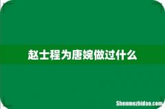 赵士程为唐婉做过什么