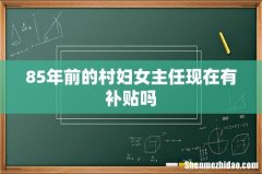 85年前的村妇女主任现在有补贴吗