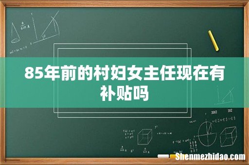 85年前的村妇女主任现在有补贴吗
