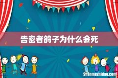 告密者鸽子为什么会死