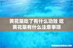 黄花菜吃了有什么功效 吃黄花菜有什么注意事项