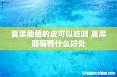 夏黑葡萄的皮可以吃吗 夏黑葡萄有什么好处