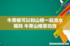 牛蒡根可以和山楂一起泡水喝吗 牛蒡山楂茶功效