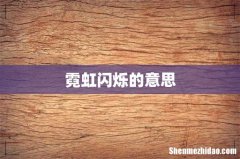 霓虹闪烁的意思