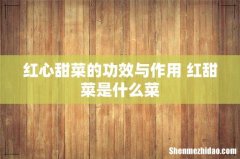 红心甜菜的功效与作用 红甜菜是什么菜
