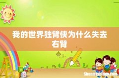 我的世界独臂侠为什么失去右臂