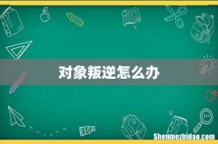 对象叛逆怎么办