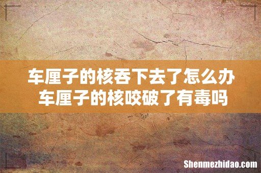 车厘子的核吞下去了怎么办 车厘子的核咬破了有毒吗