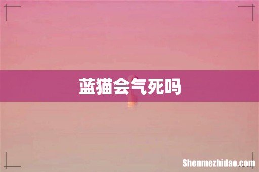 蓝猫会气死吗