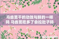 马齿苋干的功效与鲜的一样吗 马齿苋吃多了会拉肚子吗