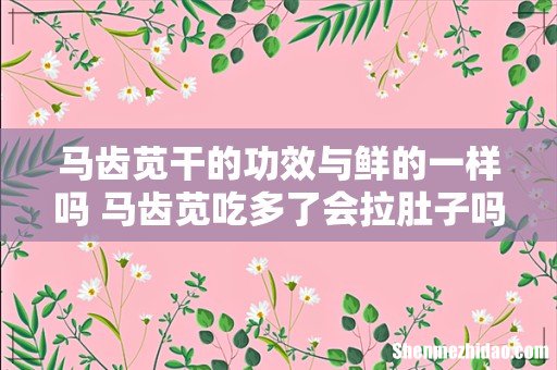 马齿苋干的功效与鲜的一样吗 马齿苋吃多了会拉肚子吗