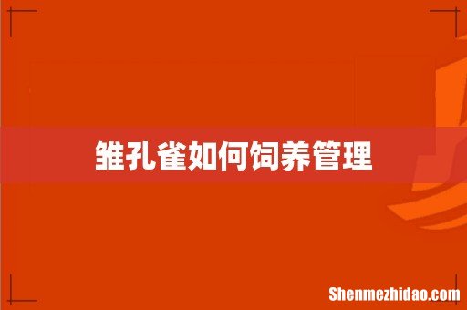 雏孔雀如何饲养管理