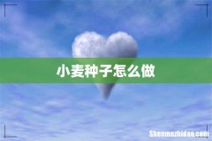 小麦种子怎么做