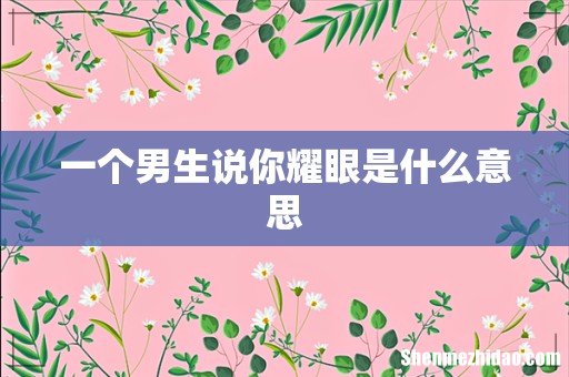 一个男生说你耀眼是什么意思