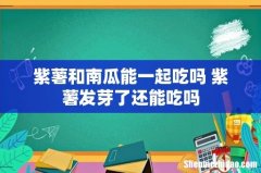 紫薯和南瓜能一起吃吗 紫薯发芽了还能吃吗