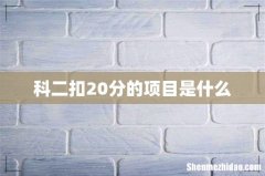 科二扣20分的项目是什么
