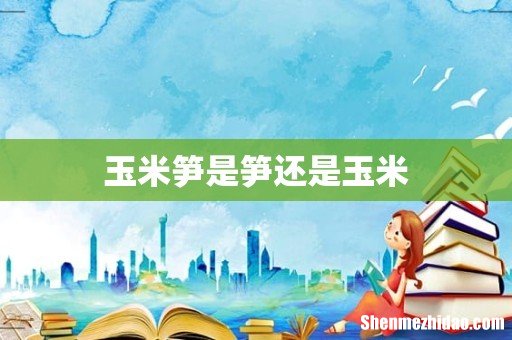 玉米笋是笋还是玉米
