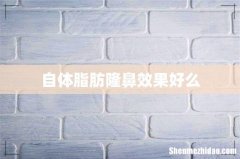 自体脂肪隆鼻效果好么