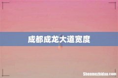 成都成龙大道宽度