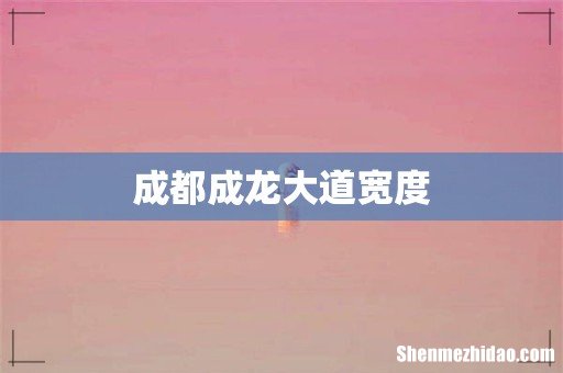 成都成龙大道宽度