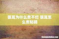 银耳为什么煮不烂 银耳怎么煮粘稠