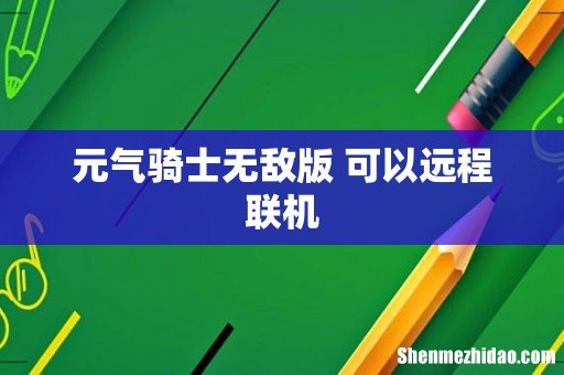 元气骑士无敌版 可以远程联机