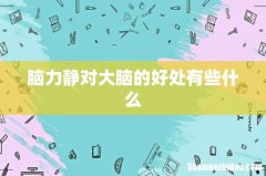 脑力静对大脑的好处有些什么