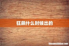 狂飙什么时候出的
