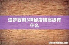 造梦西游3神秘店铺高级有什么