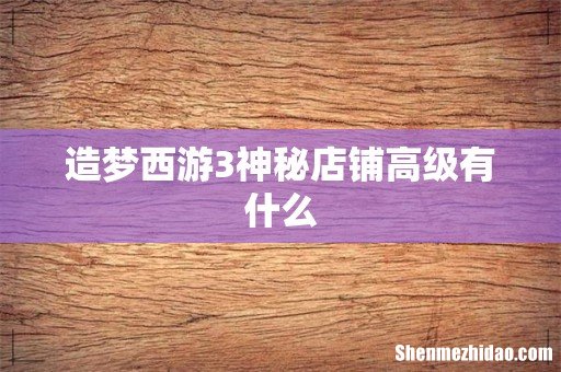 造梦西游3神秘店铺高级有什么