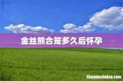 金丝熊合笼多久后怀孕