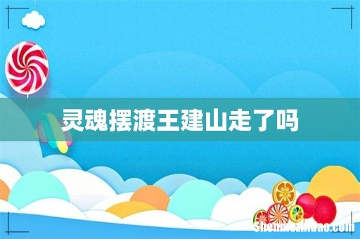 灵魂摆渡王建山走了吗