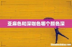 亚麻色和深咖色哪个颜色深